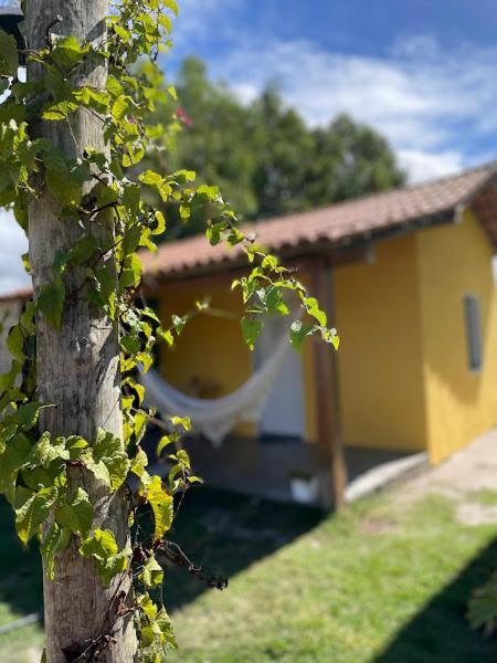 Suites Nomades - 30M Da Praia De Caraiva - Ba Eksteriør billede